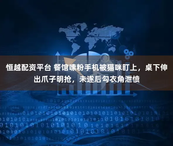 恒越配资平台 餐馆嗦粉手机被猫咪盯上，桌下伸出爪子明抢，未遂后勾衣角泄愤